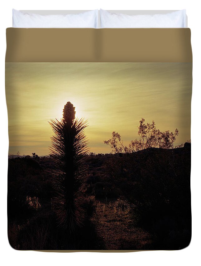 Tom Daniel Duvet Cover featuring the photograph Joshua Candle #2 by Tom Daniel