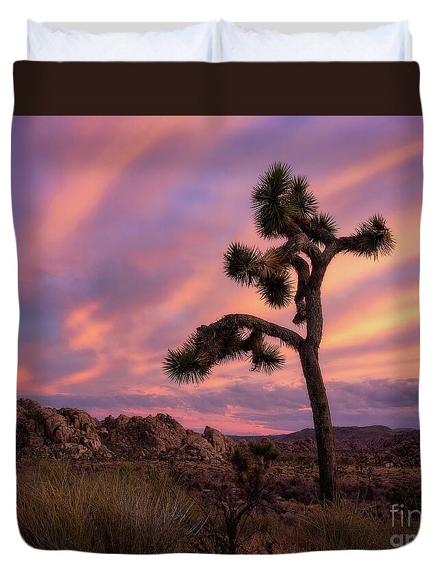 Joshua Tree National Park Duvet Cover featuring the photograph Joshua tree at sunset by Izet Kapetanovic