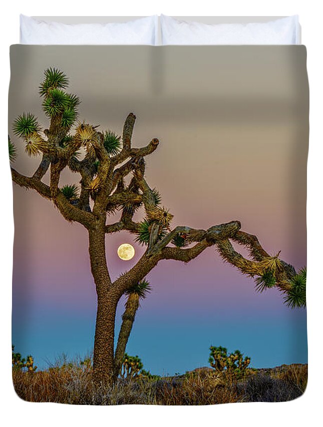 Joshua Tree Duvet Cover featuring the photograph Joshua Tree Full Moon by George Buxbaum