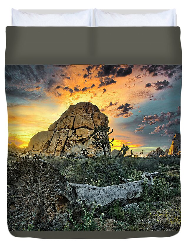 California Duvet Cover featuring the photograph Joshua Tree National Park 4 by Donald Pash