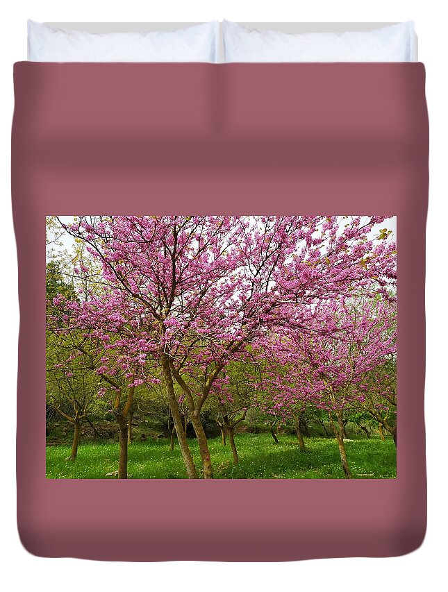 Judas Trees Duvet Cover featuring the photograph Judas Trees in Springtime by Esther Newman-Cohen