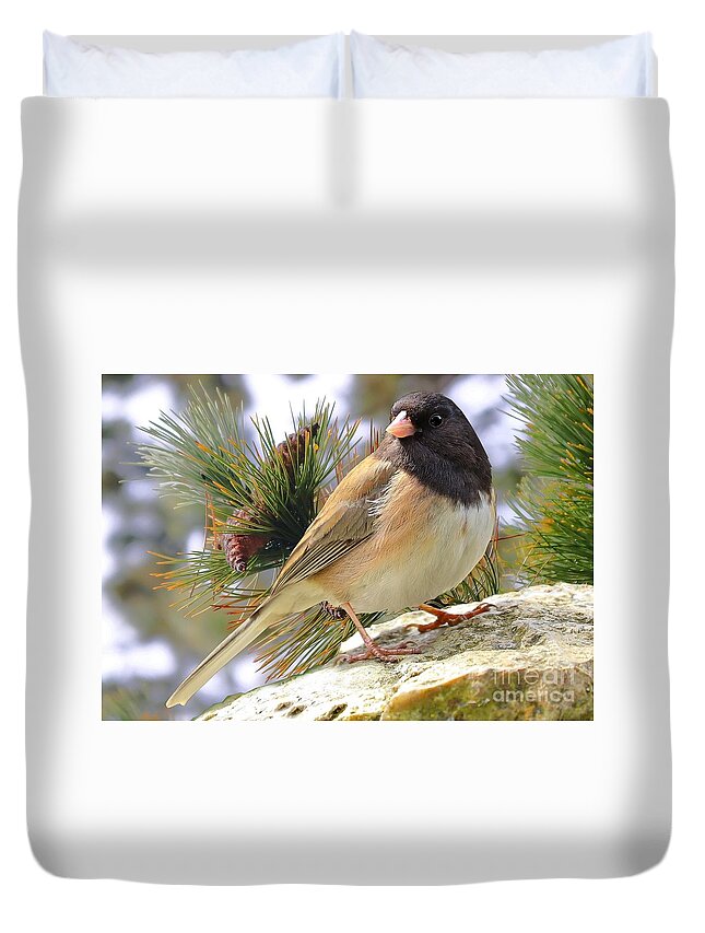 Junco Duvet Cover featuring the photograph Junco And Pine by Kimberly Furey