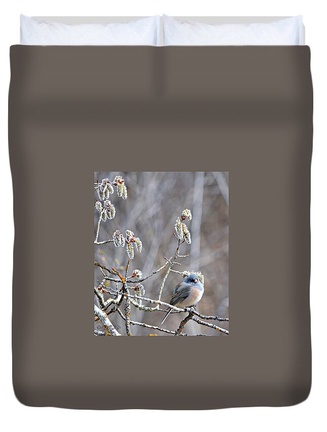 Junco Duvet Cover featuring the photograph Junco in Catkins #3 by Dorrene BrownButterfield