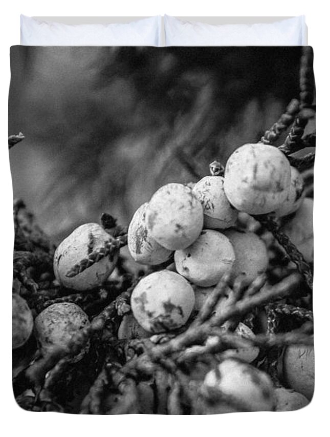 Tree Duvet Cover featuring the photograph Juniper Berries by Bonny Puckett