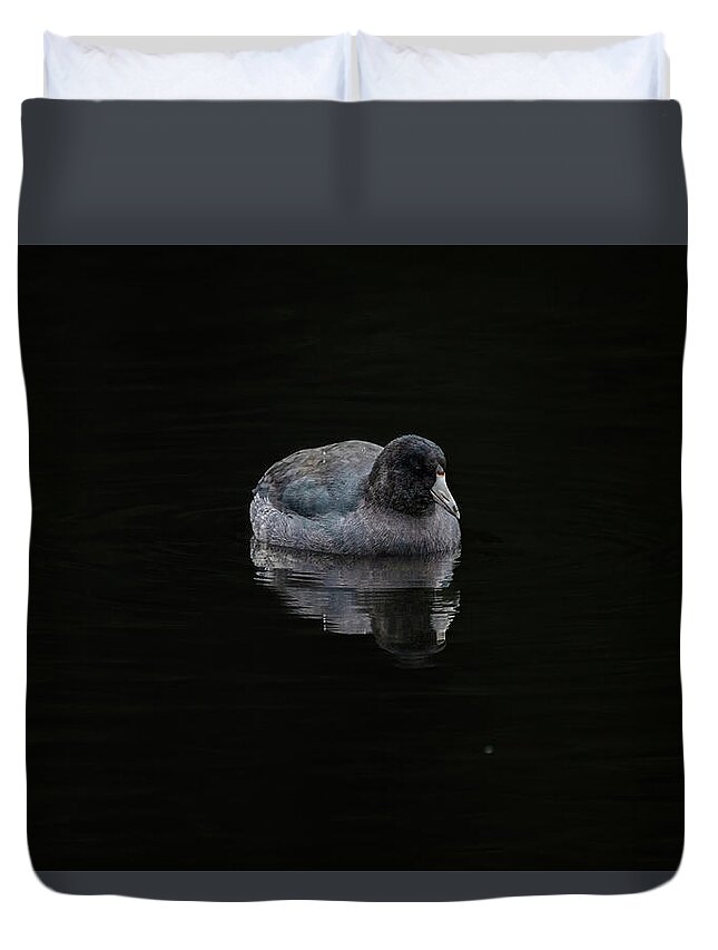 Mudhen Duvet Cover featuring the photograph Just a Coot by Jerry Cahill