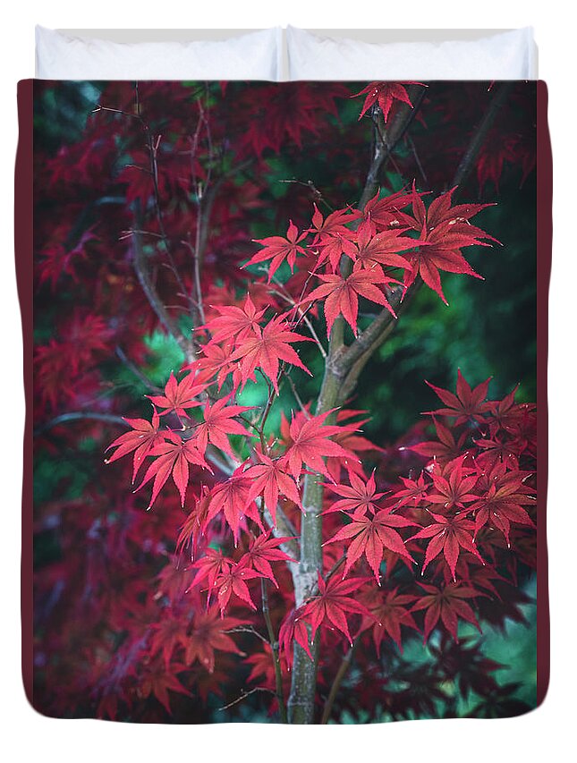 Autumn Duvet Cover featuring the photograph Just Another Maple by Philippe Sainte-Laudy