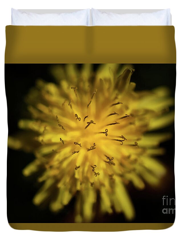 Dandelion Duvet Cover featuring the photograph Just Dandy by Lois Bryan