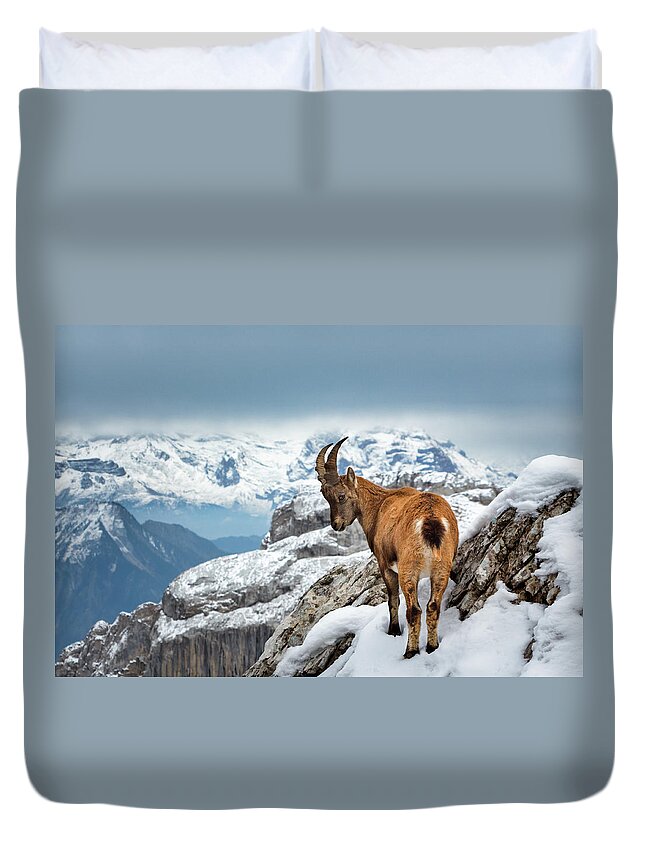 Nature Duvet Cover featuring the photograph Just Goating Around by Rick Deacon