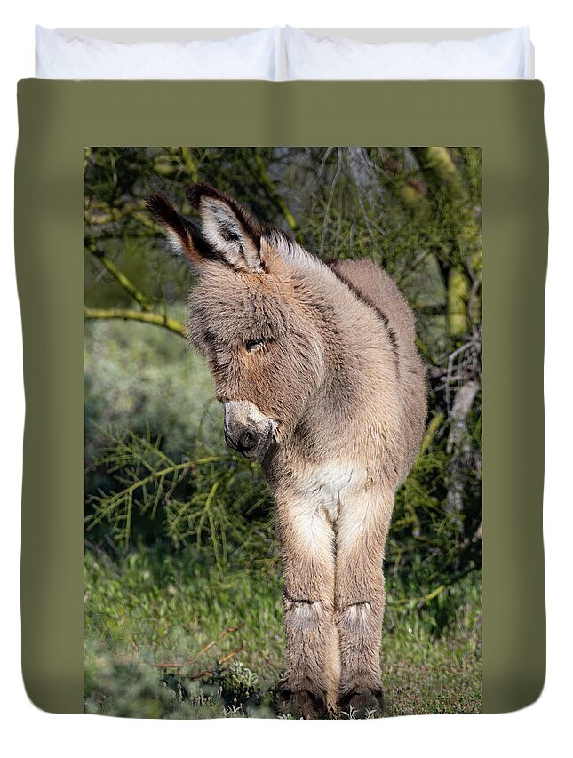 Wild Burros Duvet Cover featuring the photograph Just too Sweet by Mary Hone