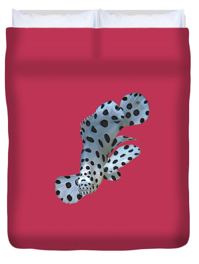 Juvenile Fish Duvet Cover featuring the mixed media Juvenile fish - Small Grouper, close and intense - Viva Magenta Background - by Ute Niemann