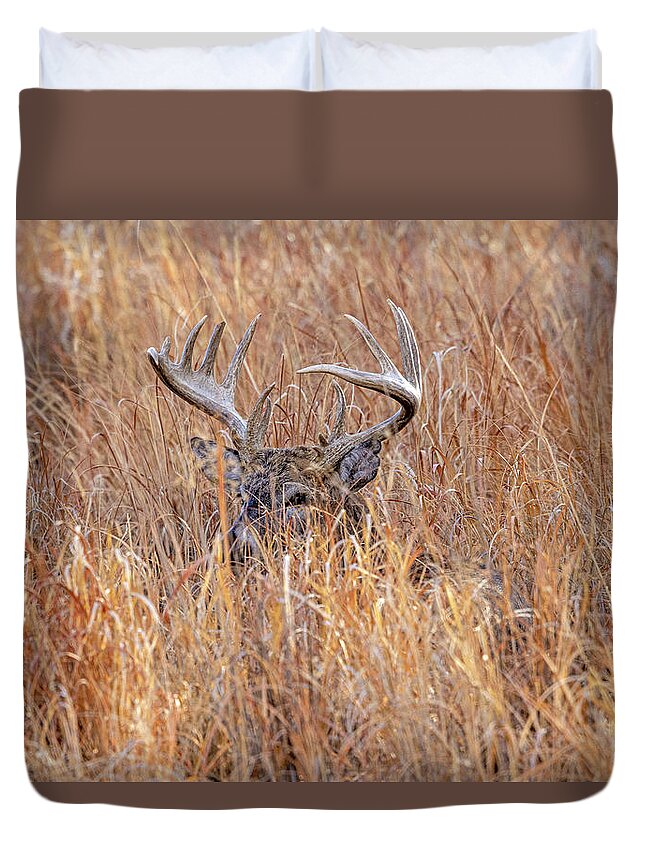 Deer Duvet Cover featuring the photograph Keeping and Eye On You by D Robert Franz
