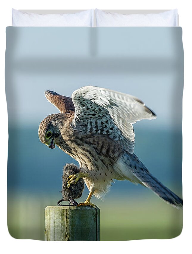 Kestrel's Landing Duvet Cover featuring the photograph Kestrels landing with the prey on the roundpole by Torbjorn Swenelius