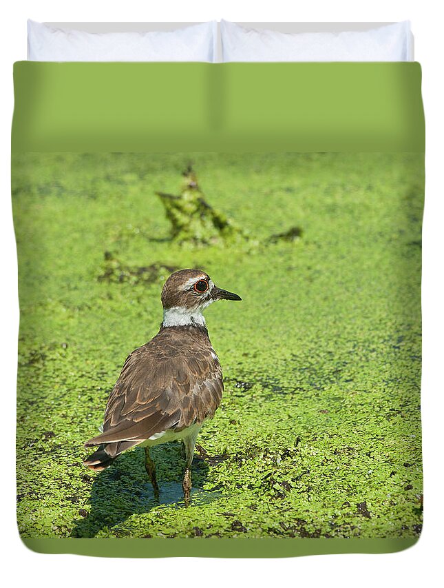 Wildlife Duvet Cover featuring the photograph Killdeer - 6884 by Jerry Owens