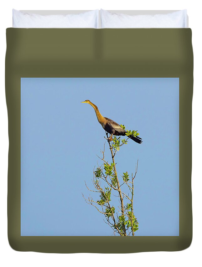 R5-2630 Duvet Cover featuring the photograph King of the Marsh by Gordon Elwell
