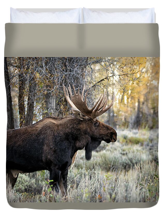 Animals Duvet Cover featuring the photograph King of the Tetons by Linda Shannon Morgan