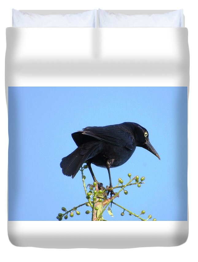 #giant #black #bird #early #morning #hunting #common #grackle #goldeneye #northgeorgia Duvet Cover featuring the photograph King Of The Tree Top by Belinda Lee