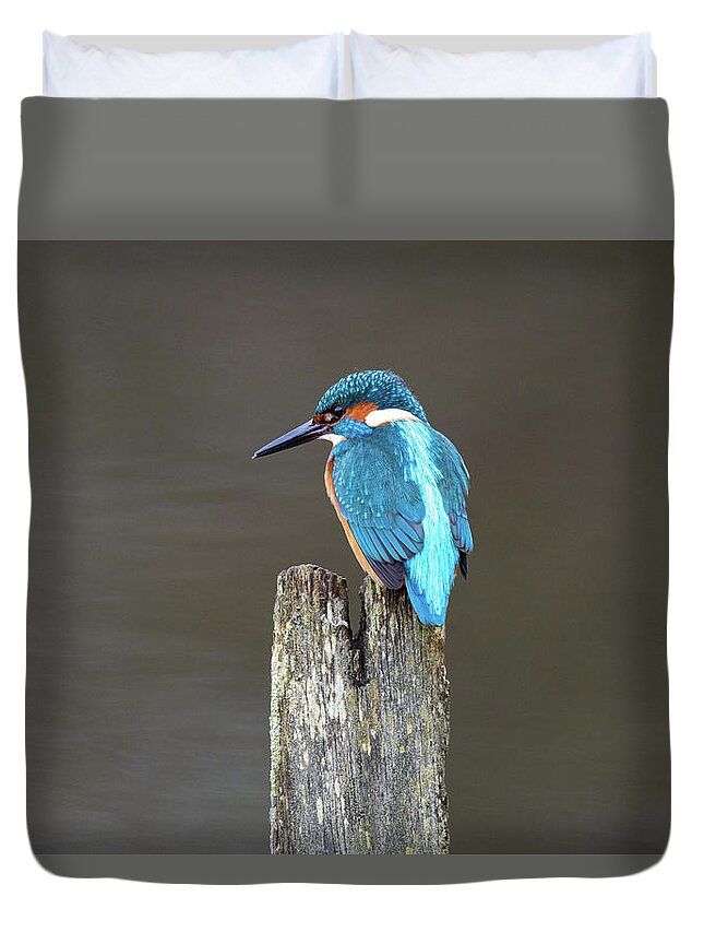 Kingfisher Duvet Cover featuring the photograph Kingfisher on a Post by Mark Hunter