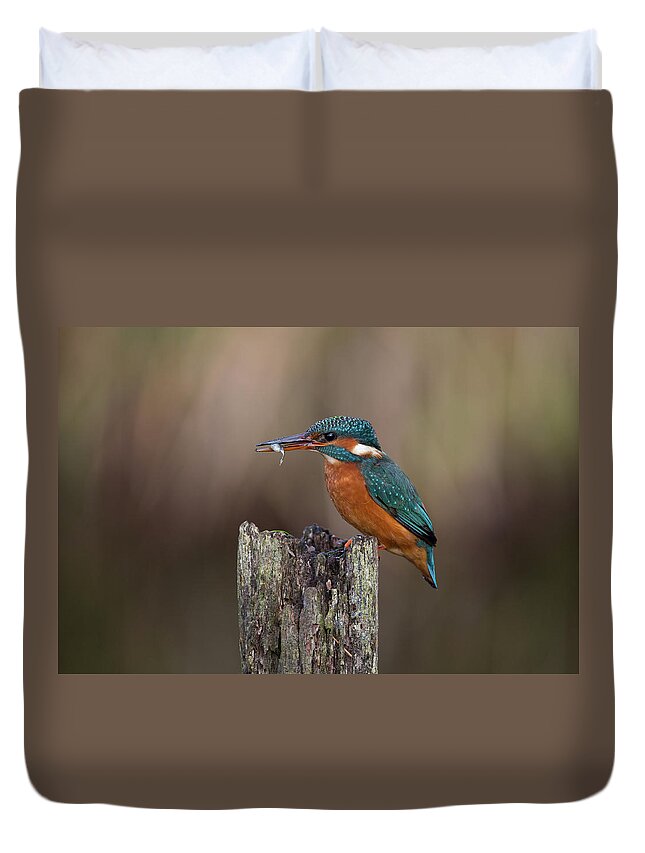 Kingfisher Duvet Cover featuring the photograph Kingfisher With Fish by Pete Walkden