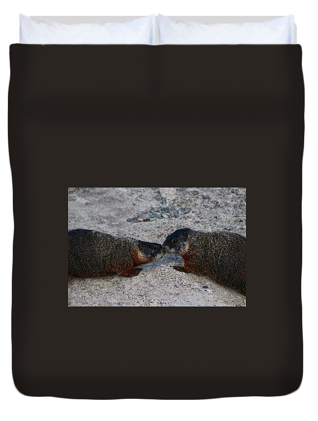 Marmot Duvet Cover featuring the photograph Kissin' Marmots by Yvonne M Smith