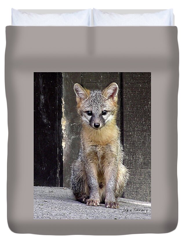 Kit Fox Duvet Cover featuring the photograph Kit Fox15 by Torie Tiffany