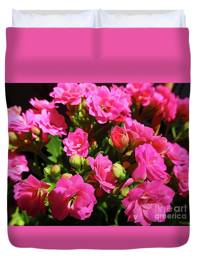 Flowers Duvet Cover featuring the photograph Klanchoe's Show by Eunice Warfel
