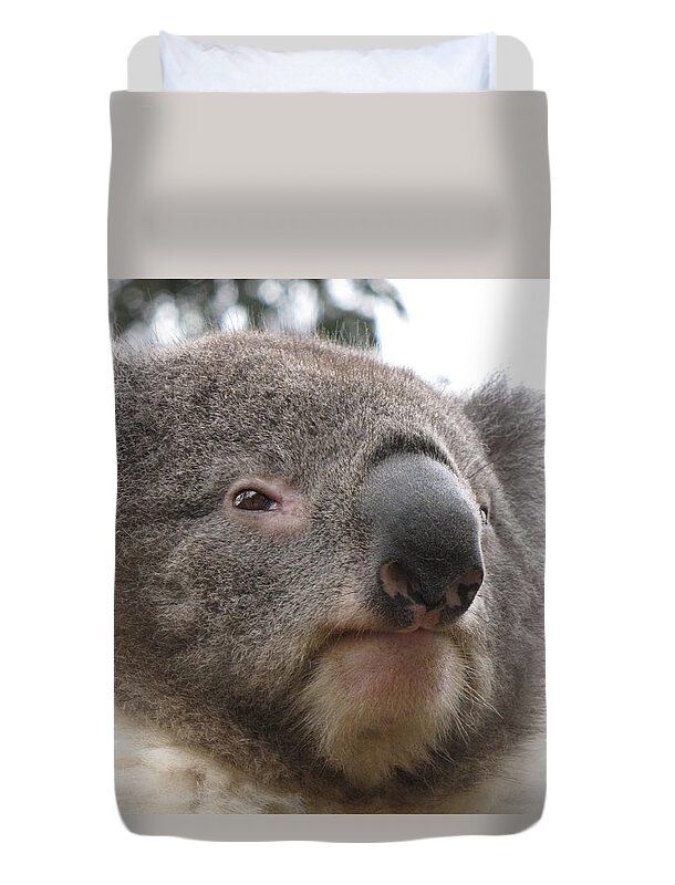 Australasia Duvet Cover featuring the photograph Koala Close Up by World Reflections By Sharon