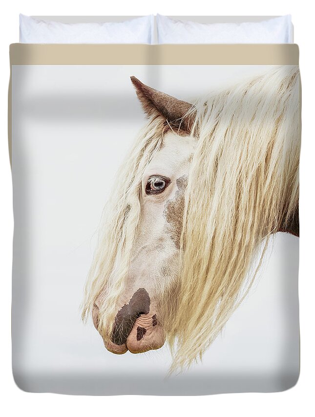 Photographs Duvet Cover featuring the photograph Lady II - Horse Art by Lisa Saint