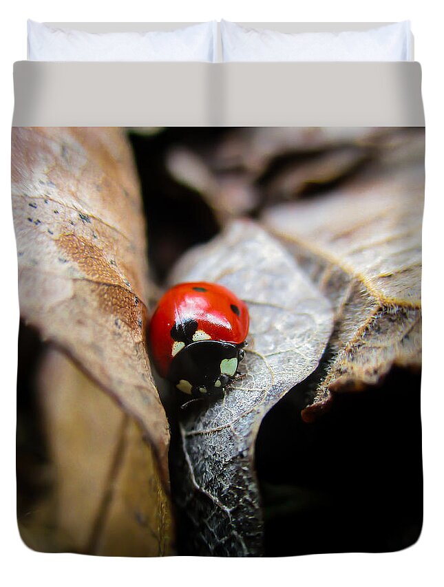 Coccinellidae Duvet Cover featuring the photograph Ladybug Among Leaves by W Craig Photography