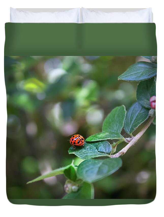 Ladybug Duvet Cover featuring the photograph Ladybug by MPhotographer