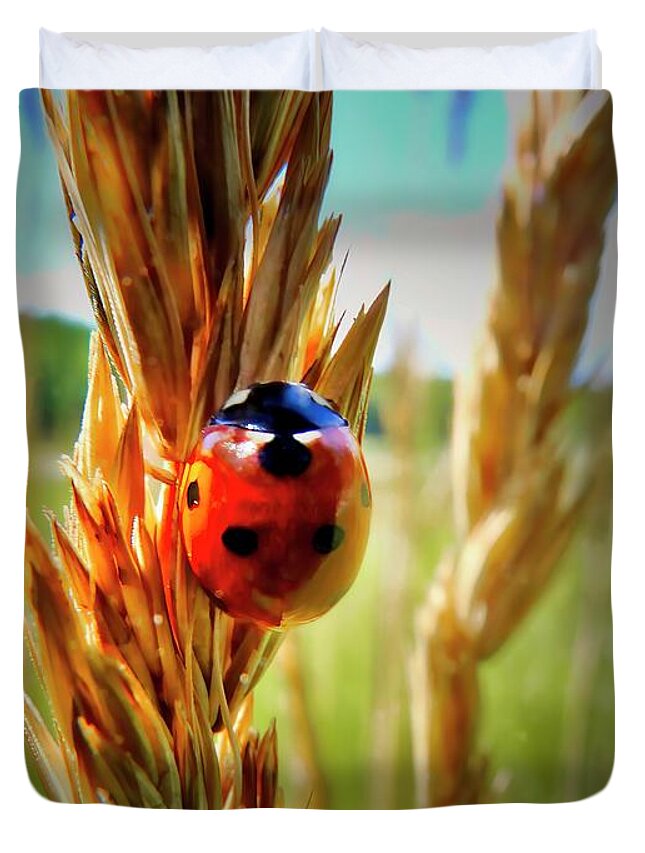 Ladybug Duvet Cover featuring the photograph Ladybug by Thomas Nay