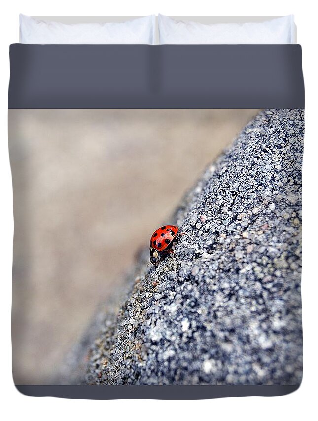 Ladybugs Duvet Cover featuring the photograph Ladybug by Thomas Schroeder