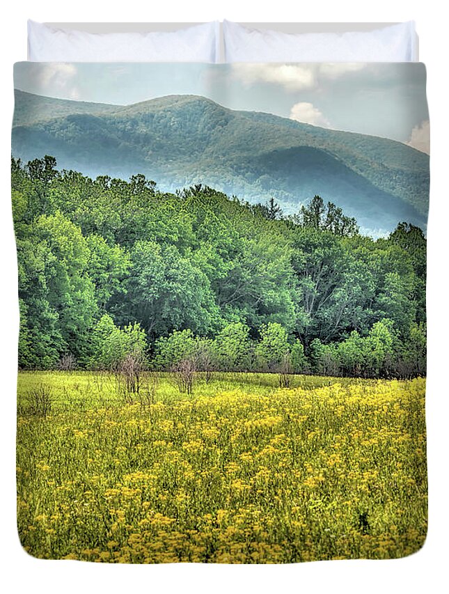 Smoky Mountains National Park Duvet Cover featuring the photograph Landscape_Mountain Vista_Smokey Mountains_NP_IMGL9886 by Randy Matthews