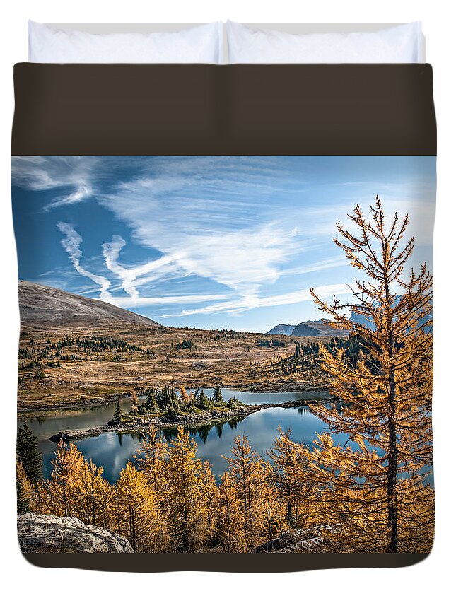 Larch Duvet Cover featuring the photograph Larch Trees in Sunshine Meadow by Linda Villers