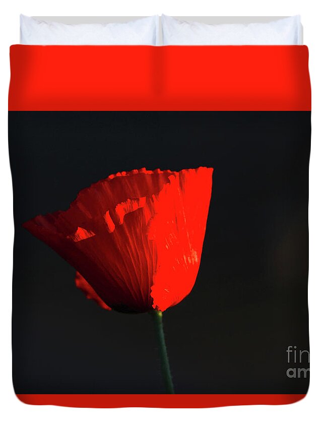 Poppy Duvet Cover featuring the photograph Last Light by Gary Wing
