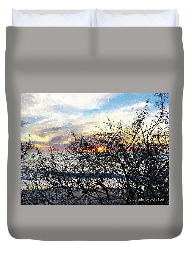 Susan Molnar Duvet Cover featuring the photograph Late Winter Sunset WC10-1 by Susan Molnar