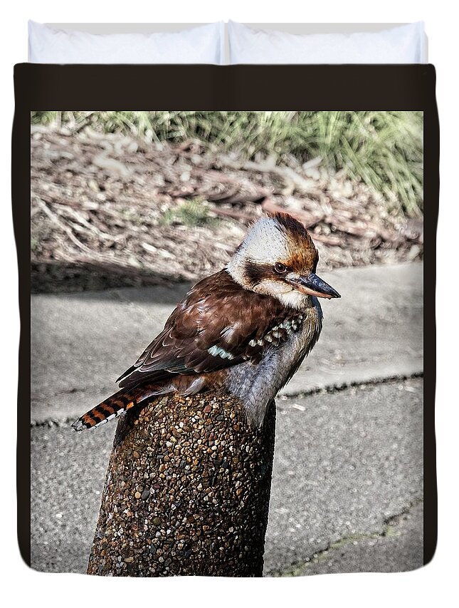 Kookaburra Duvet Cover featuring the photograph Laughing Kookaburra, Canberra, Australia by Steven Ralser