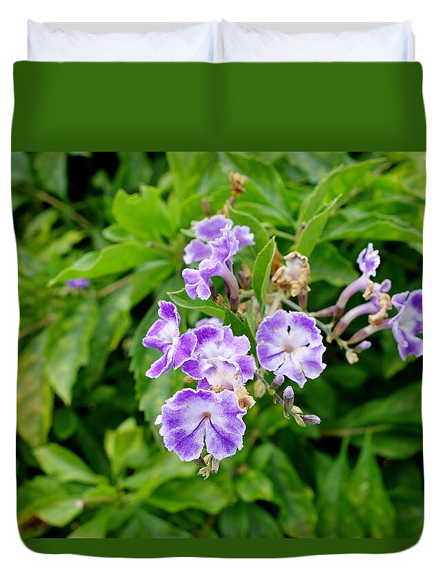 Lavender Duvet Cover featuring the photograph Lavender Farms Study 23 by Robert Meyers-Lussier