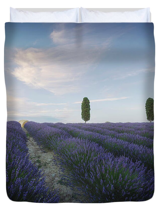 Lavender Duvet Cover featuring the photograph Lavender fields and trees. Orciano, Tuscany by Stefano Orazzini