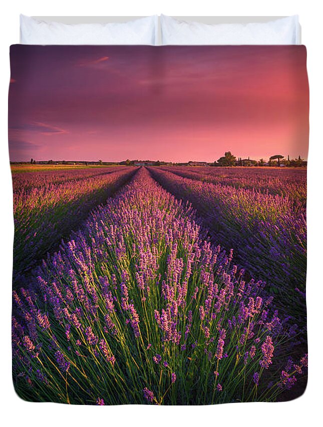 Lavender Duvet Cover featuring the photograph Lavender flowers fields and beautiful sunset. Cecina, Tuscany by Stefano Orazzini