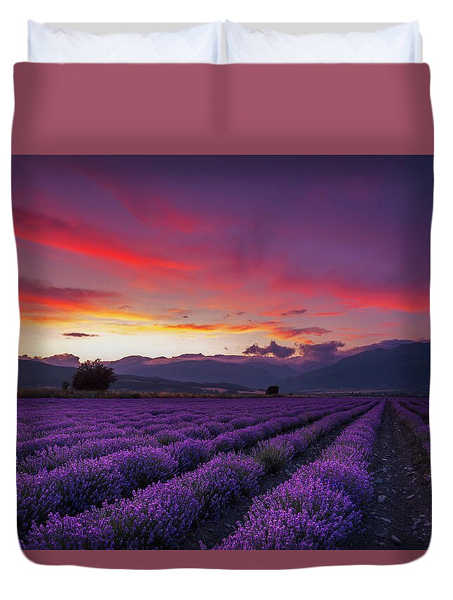 #faatoppicks Duvet Cover featuring the photograph Lavender Season by Evgeni Dinev