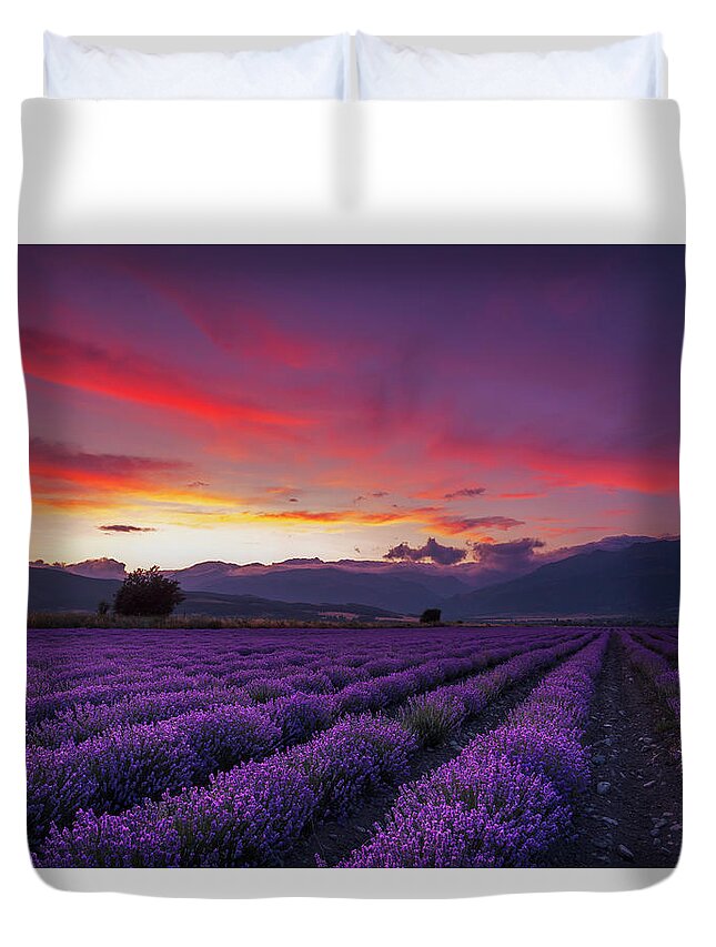 Dusk Duvet Cover featuring the photograph Lavender Season by Evgeni Dinev