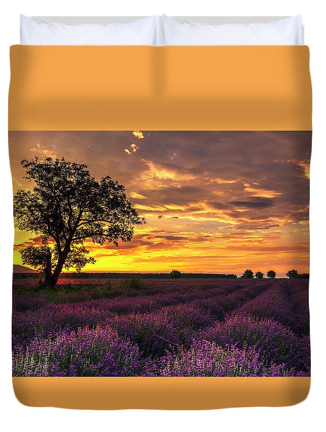 Bulgaria Duvet Cover featuring the photograph Lavender Sunrise by Evgeni Dinev