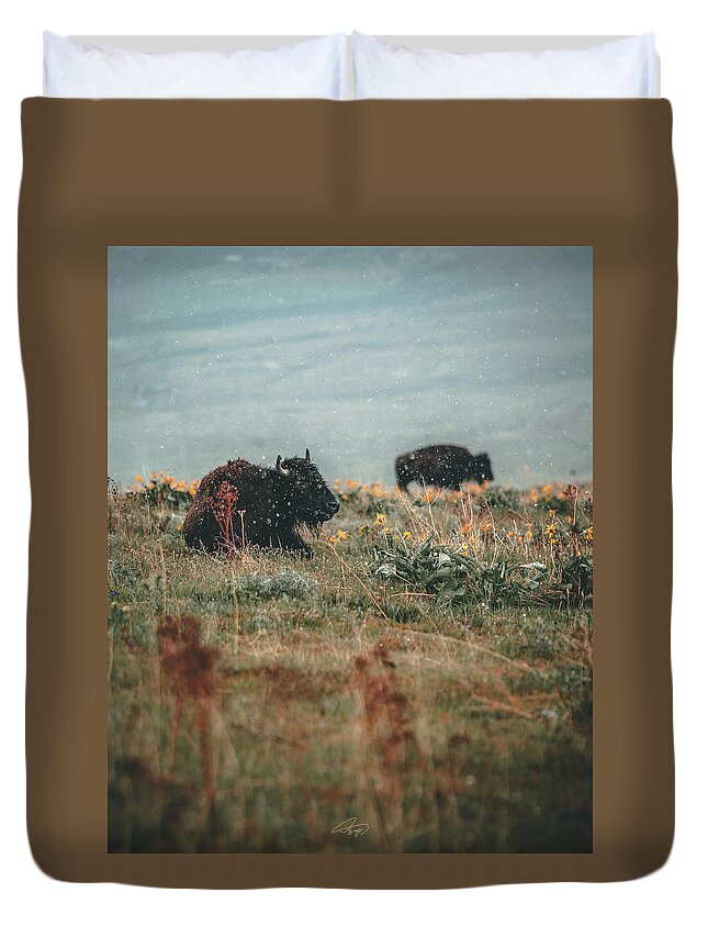  Duvet Cover featuring the photograph Lazy Bison by William Boggs