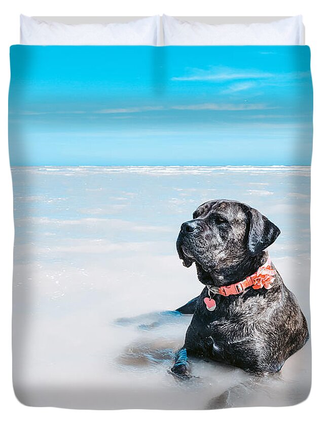 Cane Corso Duvet Cover featuring the photograph Lazy Days - Daisy the Cane Corso at the Beach by Bonny Puckett