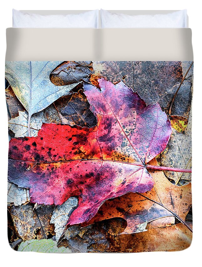 Fall Duvet Cover featuring the photograph Leaf Carpet by Steven Nelson