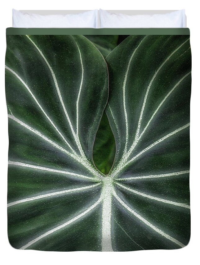 Leaf Vein Detail Duvet Cover featuring the photograph Leaf vein detail by Donald Kinney