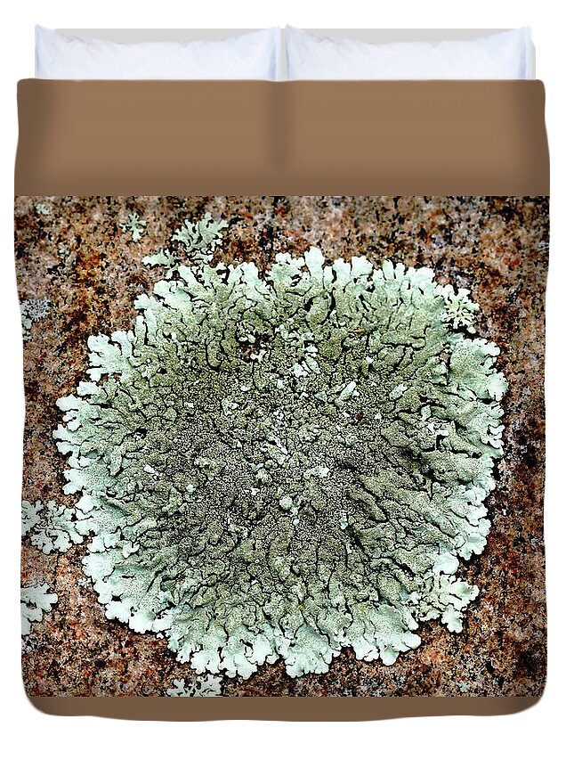 Abstract Duvet Cover featuring the photograph Leafy Lichen by Debbie Oppermann