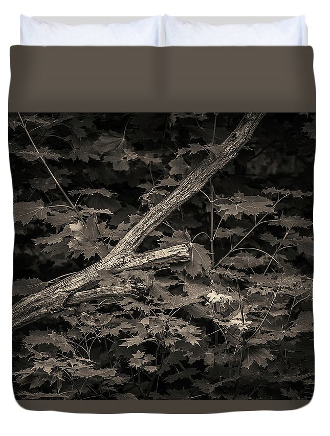 Arbor Duvet Cover featuring the photograph Leaning Tree I Toned by David Gordon