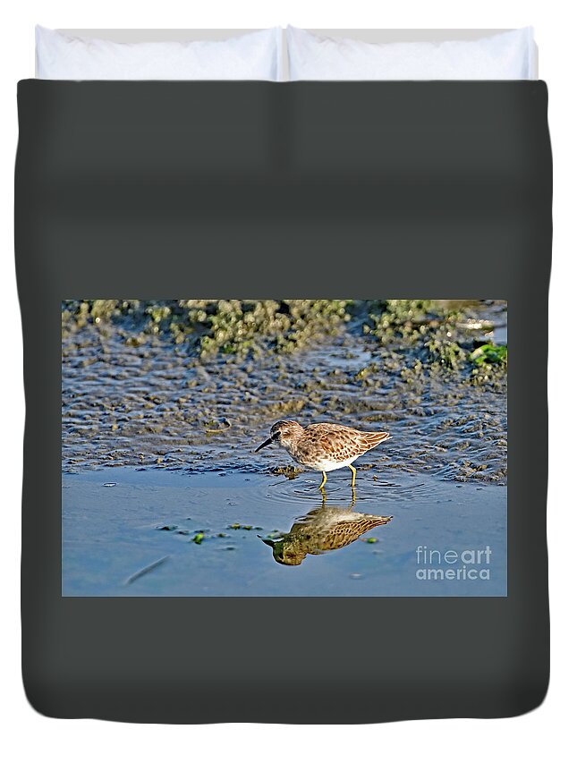 Least Sandpiper Duvet Cover featuring the photograph Least Sandpiper by Amazing Action Photo Video