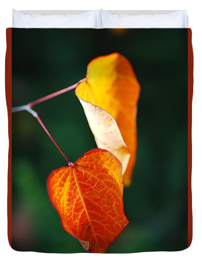 Leaves Duvet Cover featuring the photograph Leaves In Autumn by Joy Watson
